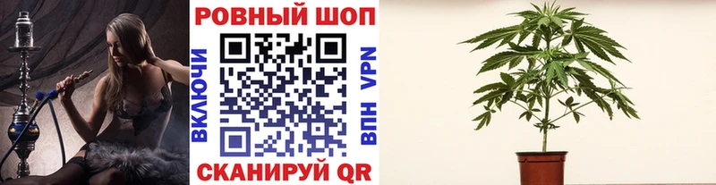 Купить наркоту Сосенский Псилоцибиновые грибы  Alpha PVP  Меф мяу мяу  Конопля  blacksprut маркетплейс  ГАШ 