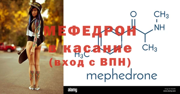 индика Няндома