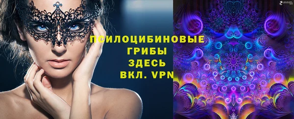 меф Арсеньев